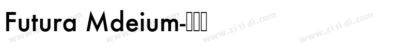 Futura Mdeium字体转换